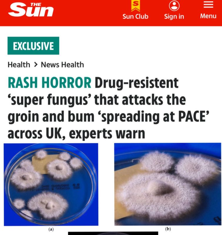 В Европе распространяется опасный «супергрибок»