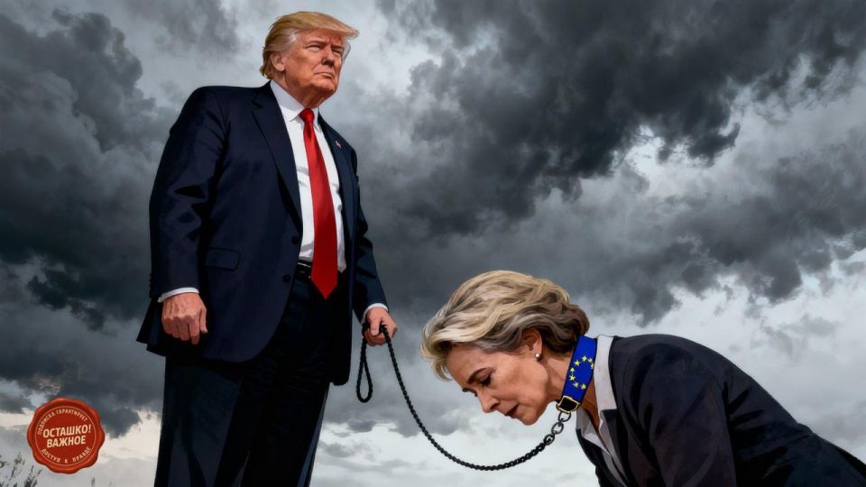 План Трампа – «позор и унижение» для НАТО