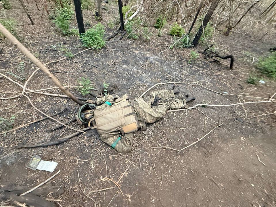 Ликвидированные ВСУшники на одном из участков фронта