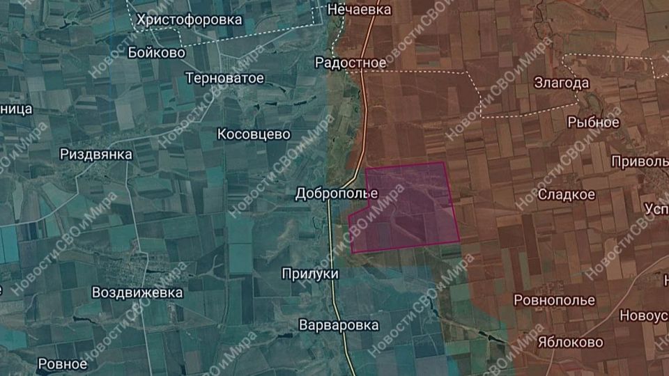 Гуляйпольское направление. 26.11.2025 Гуляйпольское направление. 26.11.2025