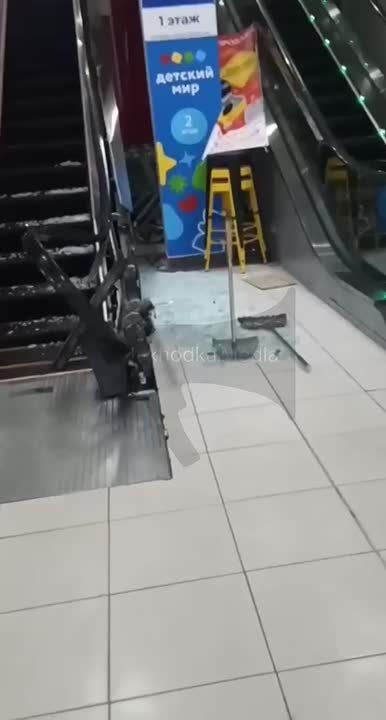 Эскалатор зажевал руку маленькой девочки в ТЦ в Приморском крае