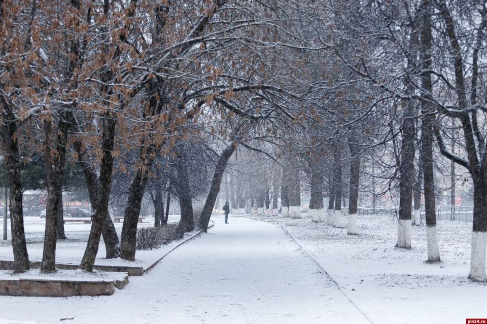 Переохлажденный дождь, снег и около 0 градусов прогнозируют в Псковской области 27 ноября
