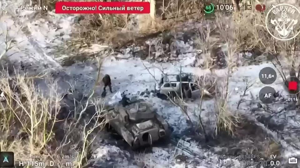 Евгений Поддубный: Сегодня свой профессиональный праздник отмечают военнослужащие Морской пехоты ВМФ России