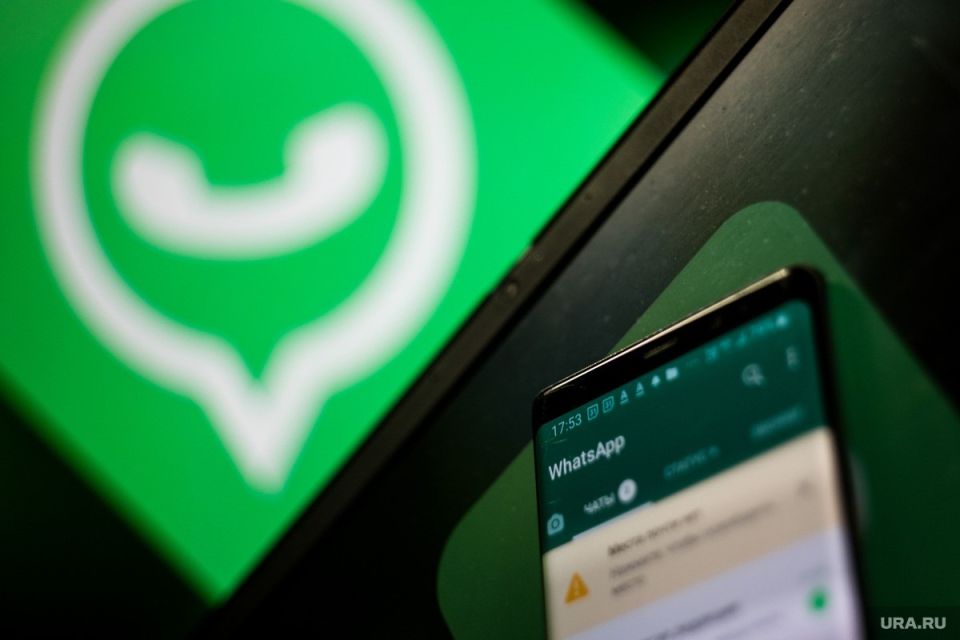 WhatsApp*     ,     ,   