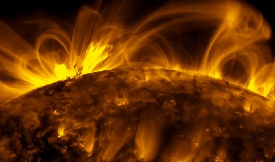 ? :   ,            ,      