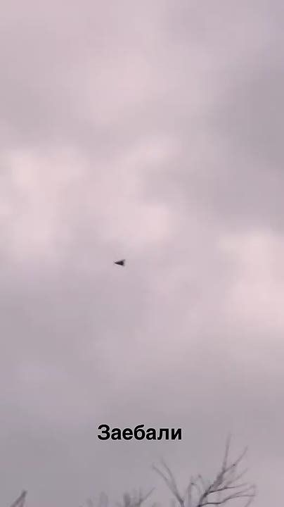 Утренние "Герани" в Киеве