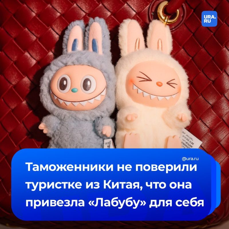 Женщина привезла из Китая чемодан «Лабубу» — и лишилась всей коллекции прямо на таможне