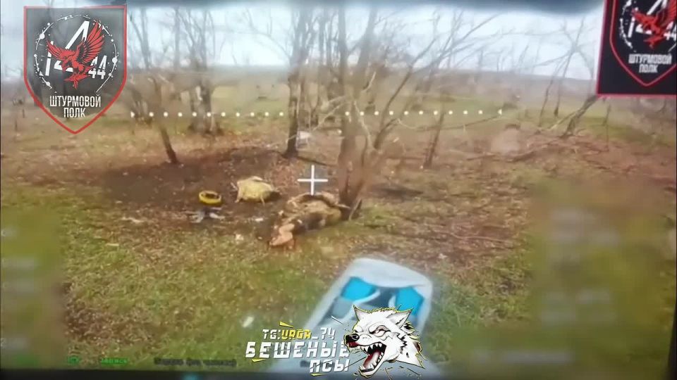 Расчёты БпЛА штурмового полка бригады «Бешеные псы» продолжают методично прочёсывать Новопавловку и её окрестности, работая по личному составу противника