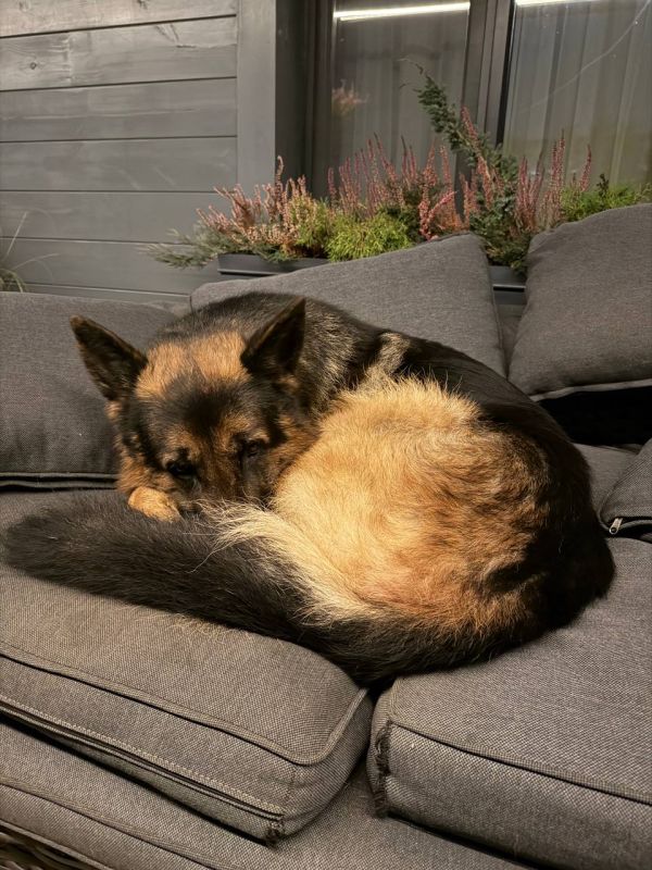 Михаил Ведерников: СКОРО ЗИМА