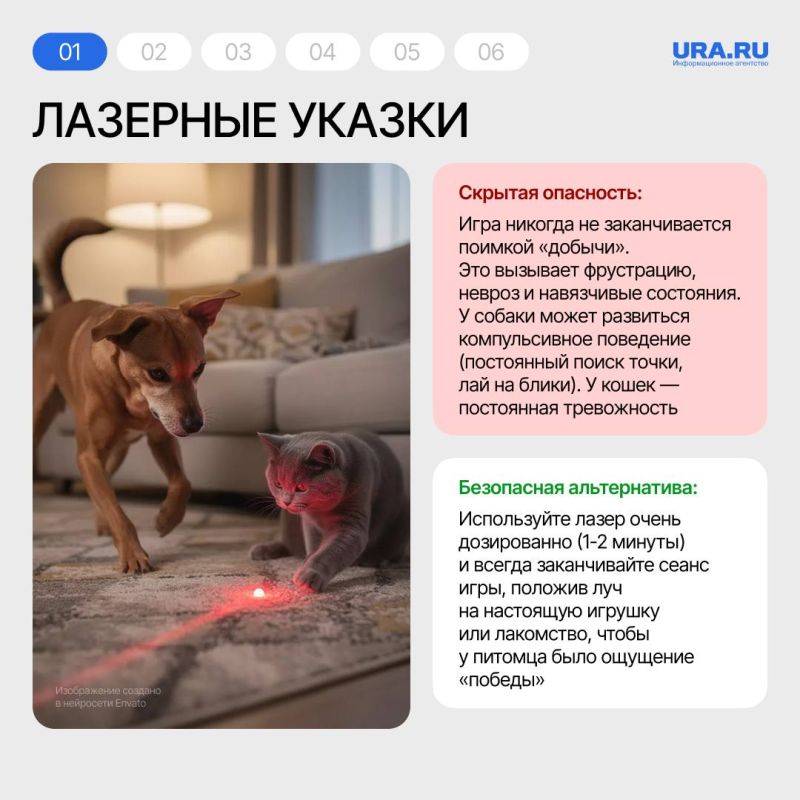 В День домашних животных мы чаще всего говорим о любви, ласке и милых моментах с нашими пушистыми друзьями