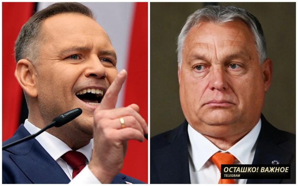 Обида по-польски: Навроцкий отменил встречу с Орбаном после его визита в Москву