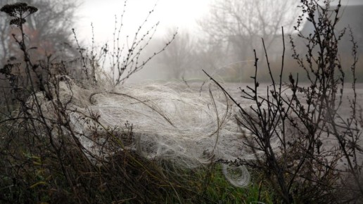 Заваленная "оптикой" местность в районе Орехова