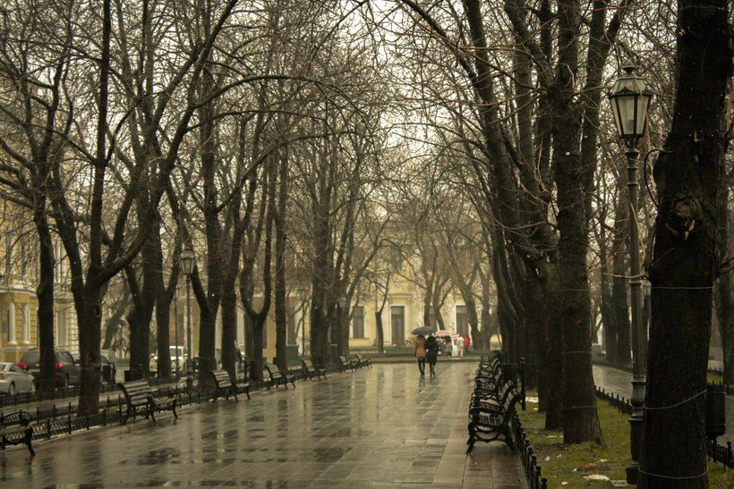 Небольшие осадки и до +4 градусов прогнозируют в Псковской области 1 декабря