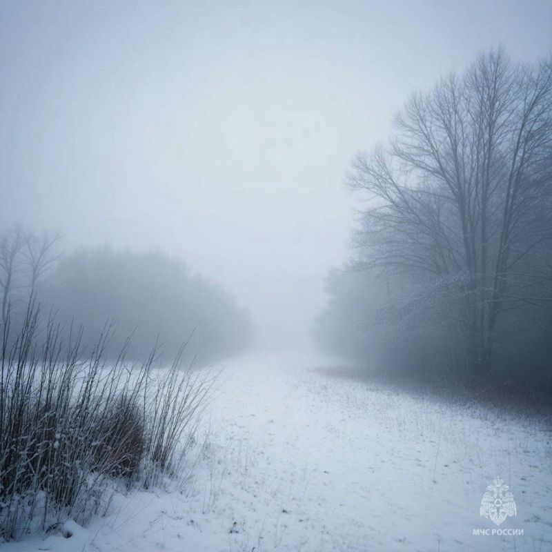 МЧС России предупреждает: на территории Псковской области ожидается туман