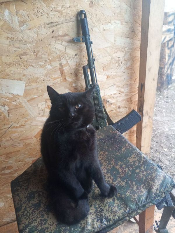 Моменты СВО.Будни фронта.. @Tristatridzatri Моменты СВО.Будни фронта.. @Tristatridzatri