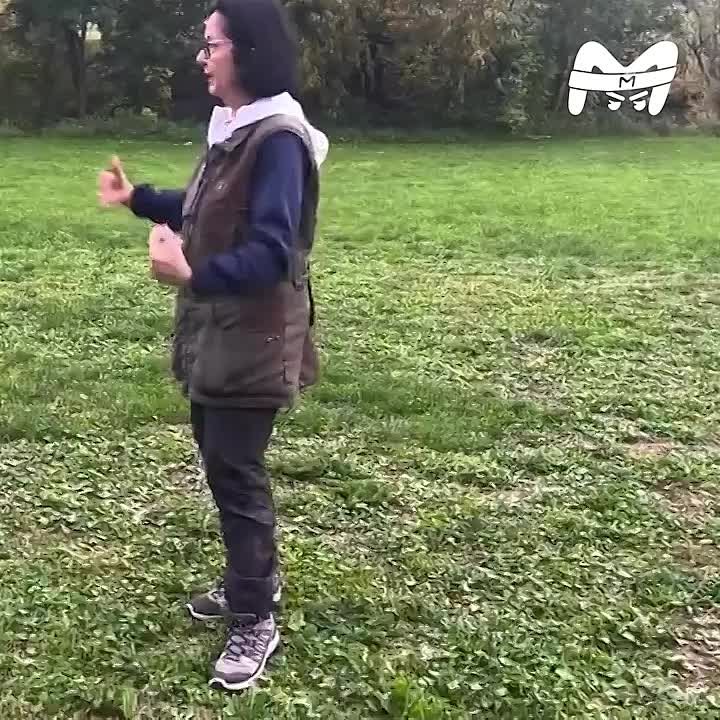 Хоббихорсинг забыт. Новый тренд — хоббидоггинг