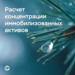Банк России разработал методику расчета концентрации иммобилизованных активов