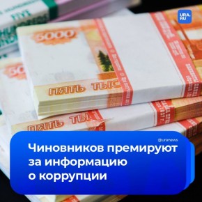 Сообщил о коррупции — получил премию