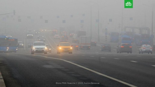 Сильный туман накроет Москву и область в ближайшее время