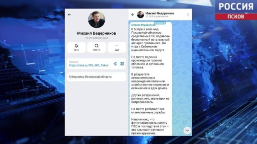 БПЛА противника был подавлен средствами ПВО в небе над Псковской областью