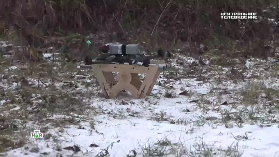 Четыре ружейных ствола и устойчивость в воздухе: в России разработали БПЛА — убийцу других дронов