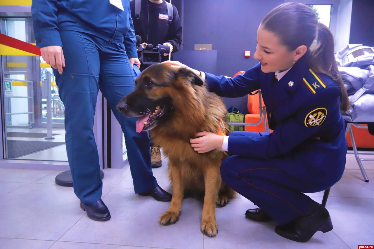 Молодежный форум «Молодежь и закон» проходит в Пскове Молодежный форум «Молодежь и закон» проходит в Пскове