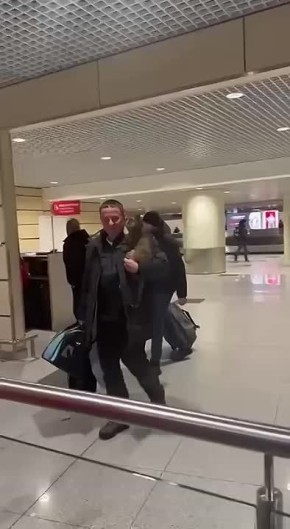 Москвичке вернули кота-путешественника, сбежавшего от нее в поезде