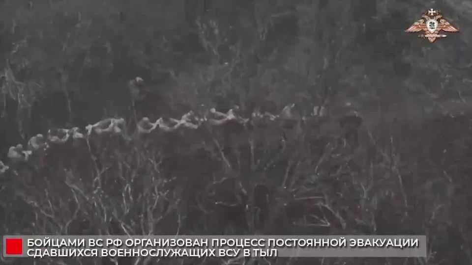 Группы солдат из состава окруженной в Мирнограде группировки ВСУ сдаются в плен российским военным