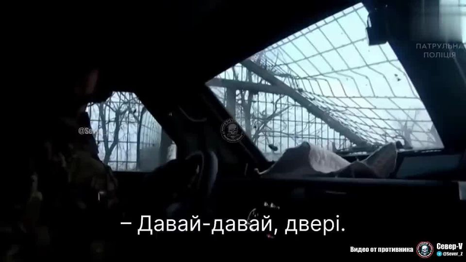 &quot;, ....... ,    , .&quot;