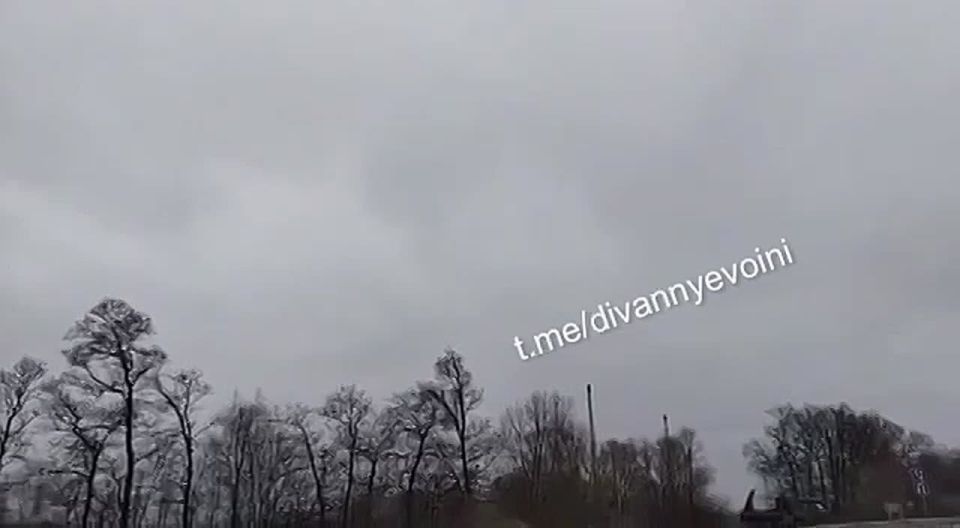 Когда охотник стал жертвой