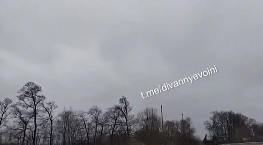 Когда охотник стал жертвой