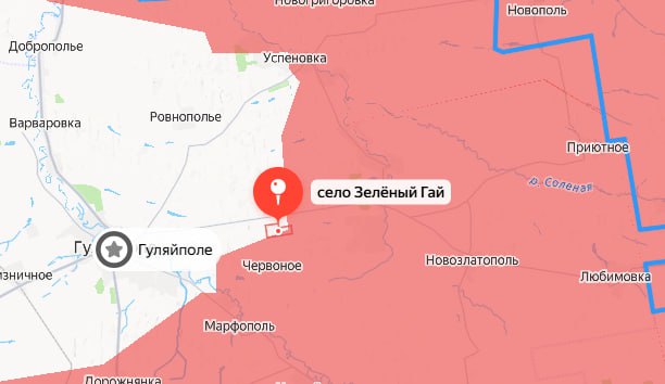 Российские военные освободили Зеленый Гай и Доброполье в Запорожской области, сообщило Минобороны