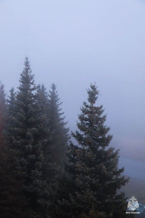 МЧС России предупреждает: на территории Псковской области ожидается туман