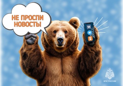 Оперативно, полезно, интересно - подпишись на #МЧСПсков!