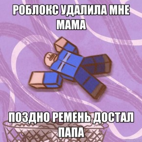 Екатерина Мизулина: Похоже, что Roblox действительно заблокирован