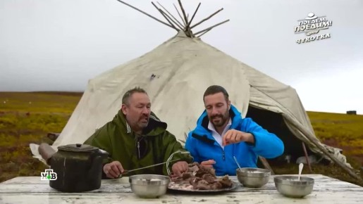 Глаза, сырые мозги и кишки — вот основной рацион чукотского оленевода