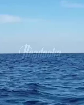 Видео уничтожения украинского дрона публикуют в сети