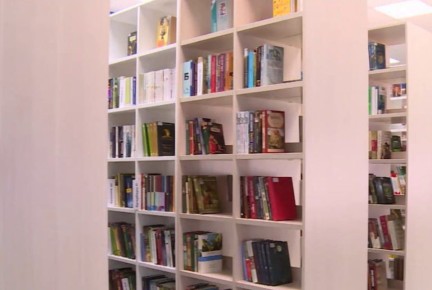 Здание Красногородской библиотеки требует капитального ремонта, с такой проблемой обратились на "Прямую линию" с губернатором жители округа