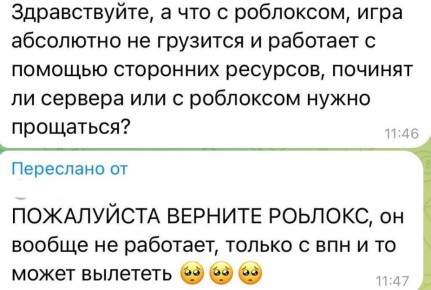 Екатерина Мизулина: Предложка сейчас. Пишут, что Roblox перестал работать в России