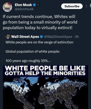 Илон Маск заявил, что белое население мира может скоро исчезнуть