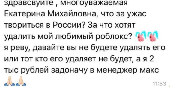 Случилось страшное. В РФ начались проблемы у Roblox