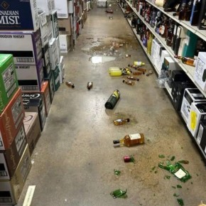 В США енот устроил бардак в алкогольном магазине, напился и отключился в туалете