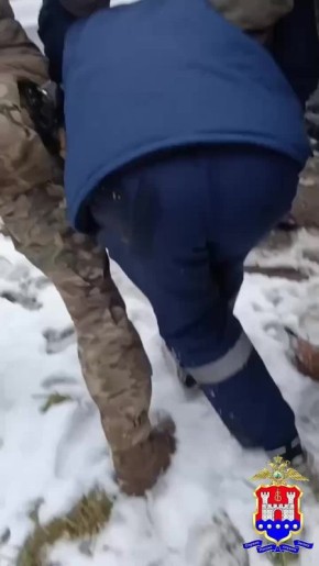 Как стать фигурантом уголовного дела после прогулки с собакой? Курьезная хроника событий в исполнении жителя Калининградской области