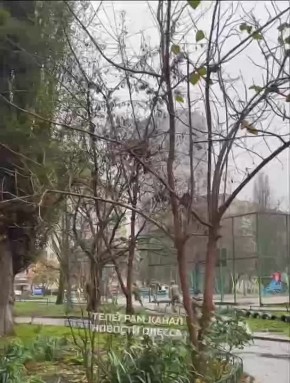 На видео уже стандартная охота на украинцев людоловов кокаинового фюрера