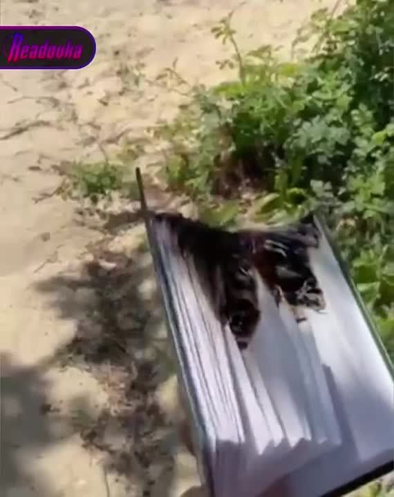 Верховный суд оставил в силе 14 лет колонии для Никиты Журавеля