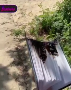 Верховный суд оставил в силе 14 лет колонии для Никиты Журавеля