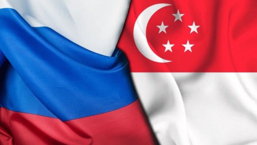 4 декабря заместитель Министра иностранных дел Российской Федерации Д.Е.Любинский принял Посла Республики Сингапур в Российской Федерации М.Нео по его просьбе