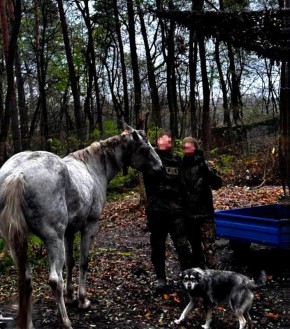   @Tristatridzatri   λ