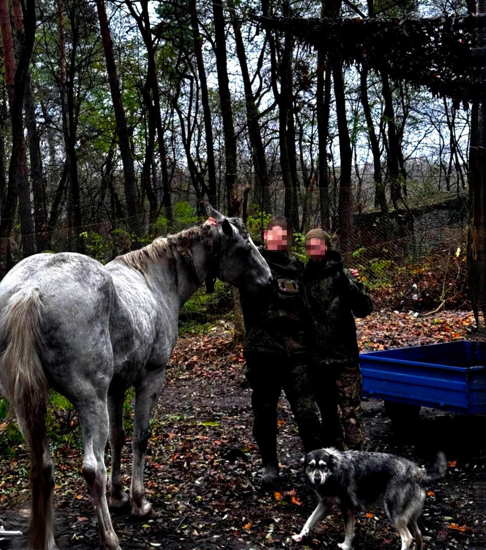 Фотоподборка от @Tristatridzatri — «Будни СВО»