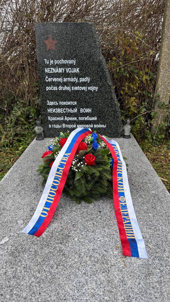 «Не забудем никогда». Ко Дню Неизвестного солдата 3 декабря в России отмечается День Неизвестного солдата в память о российских и советских воинах, погибших в боевых действиях на территории страны и за ее пределами